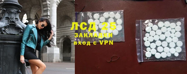 стафф Арсеньев