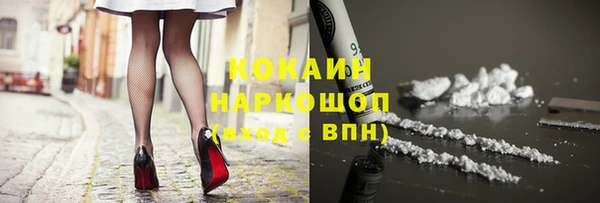 стафф Арсеньев