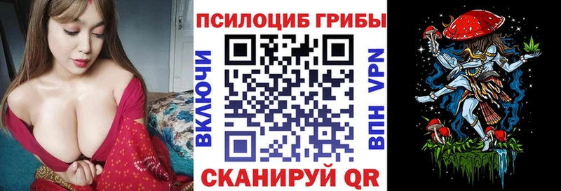 дарк нет официальный сайт  Урень  Галлюциногенные грибы Magic Shrooms 
